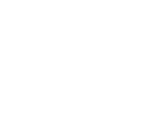 PICKBOY CUSTOM MADE PICK